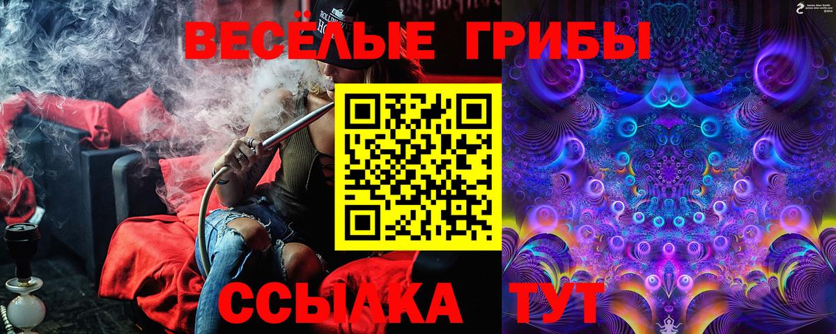 Псилоцибиновые грибы Cubensis Стрежевой