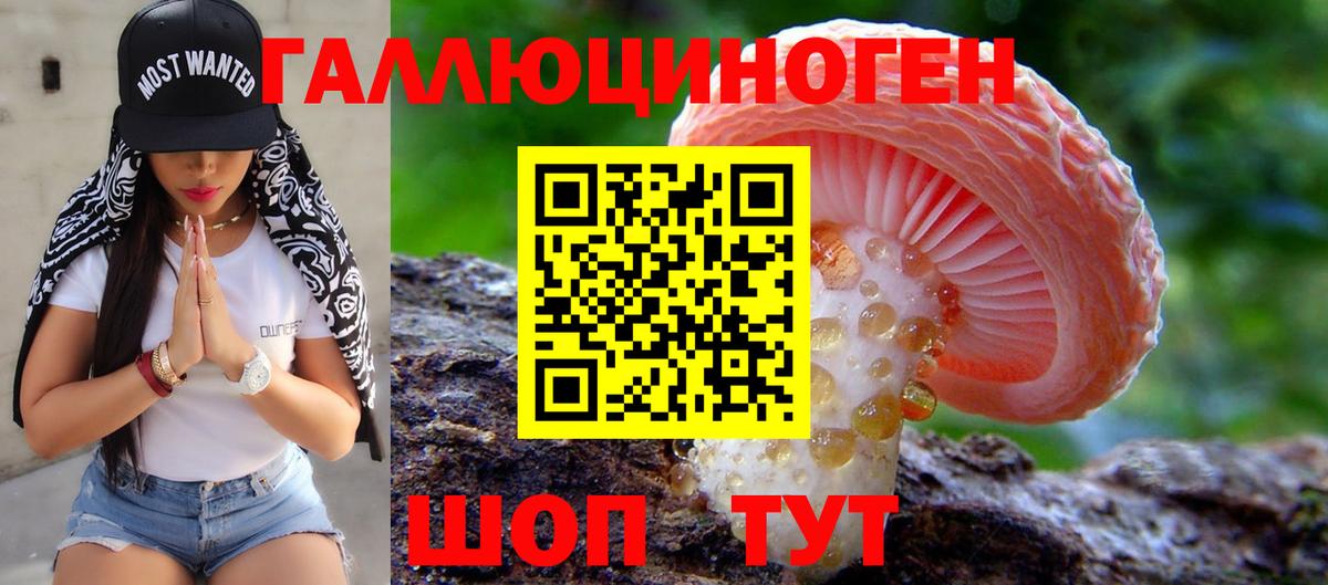 Стрежевой  Псилоцибиновые грибы Psilocybe  Галлюциногенные грибы Psilocybe  Вход с VPN 